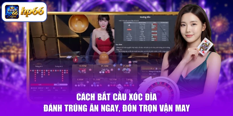 Cách Bắt Cầu Xóc Đĩa - Đánh Trúng Ăn Ngay, Đón Trọn Vận May