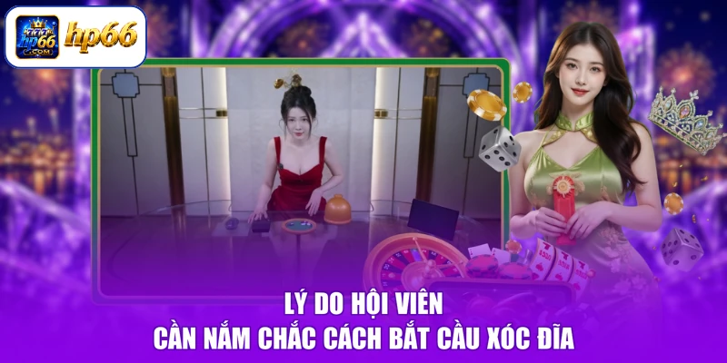 Lý do hội viên cần nắm chắc cách bắt cầu xóc đĩa