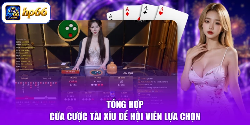 Cách Chơi Tài Xỉu - Bí Kíp Vàng Mười, Thắng Lớn Mọi Ván 2 Tổng hợp cửa cược tài xỉu để hội viên lựa chọn